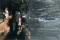 17.06.2005